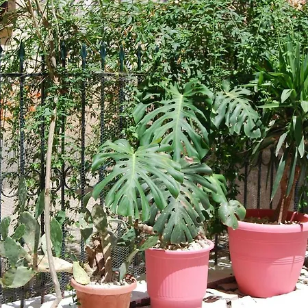 Old Town Venetian By Corfuescapes *