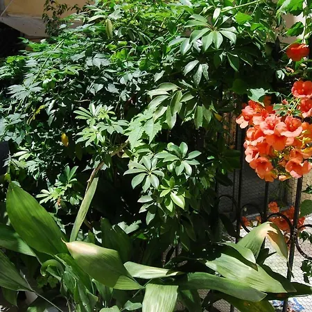 Old Town Venetian By Corfuescapes Apartament Corfu (city)