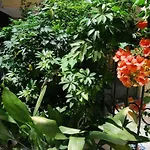 Old Town Venetian By Corfuescapes Apartament Corfu (city)